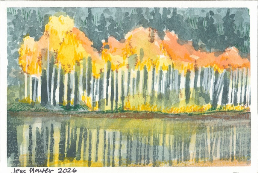 Autumn Birch Trees Watercolor - Original, Prints (4"x6")