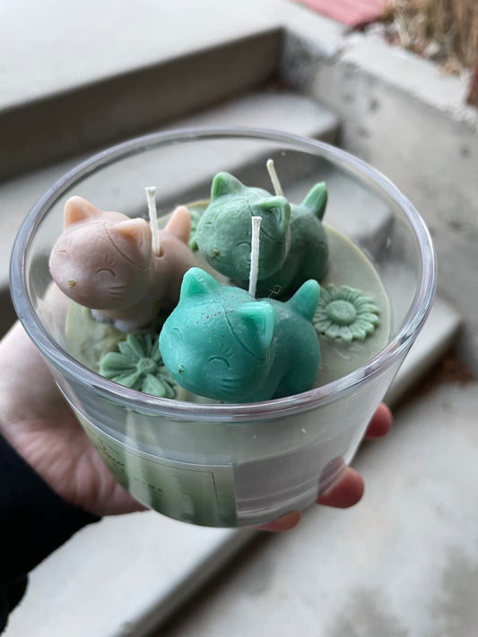 Purrfect Pine- 16oz, 3 Wick Decorative Candle