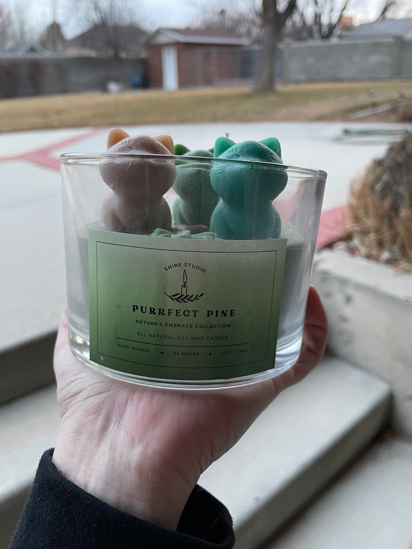 Purrfect Pine- 16oz, 3 Wick Decorative Candle