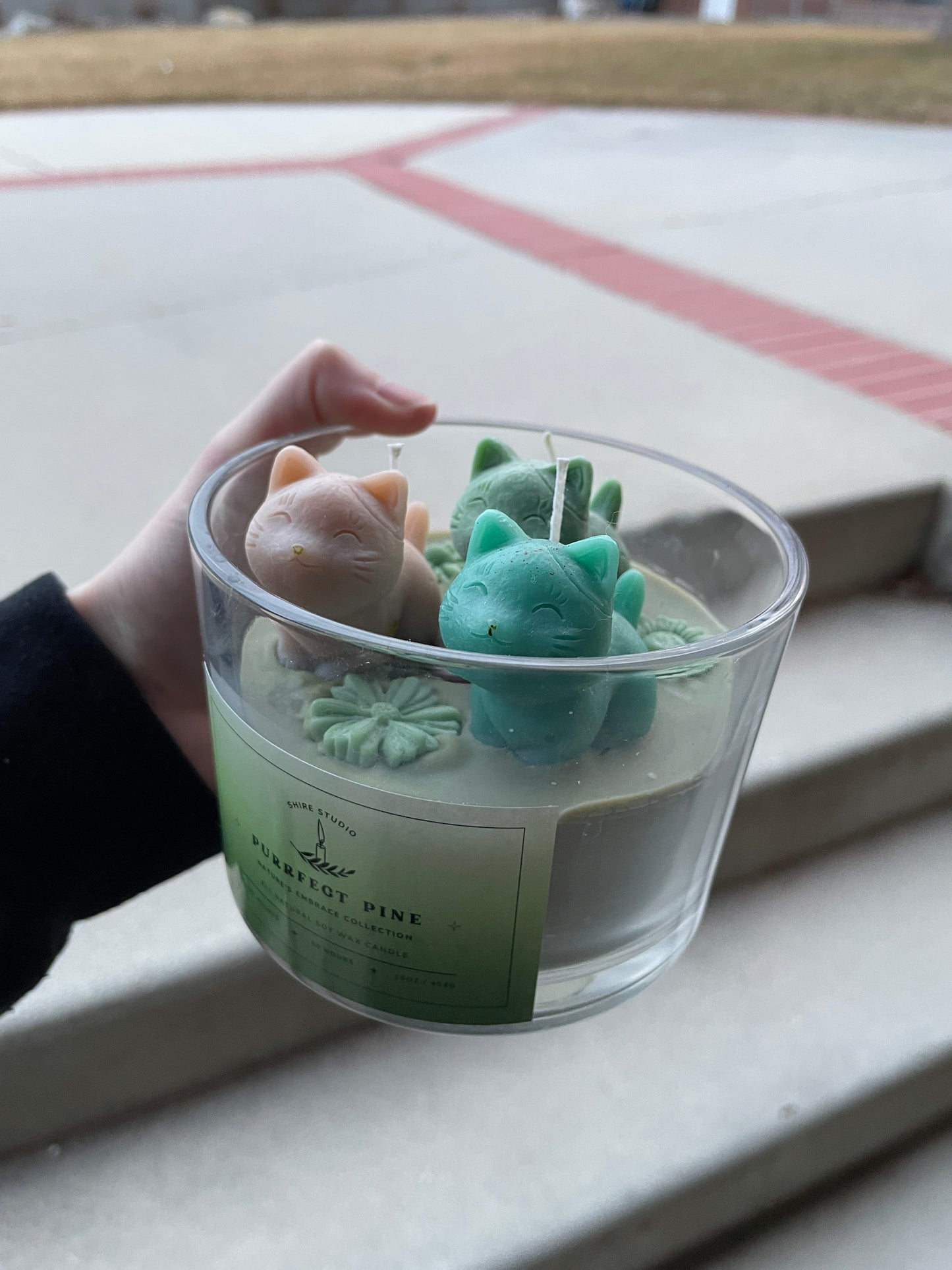 Purrfect Pine- 16oz, 3 Wick Decorative Candle