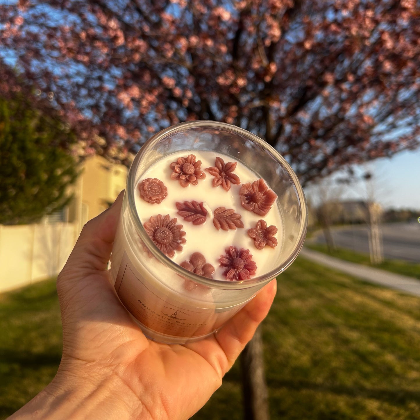 Coconut Canopy - 10oz Candle